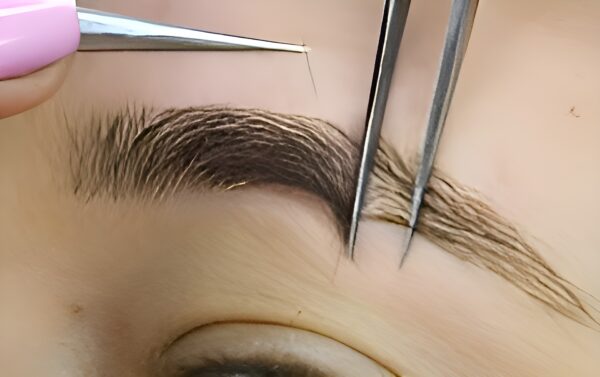 Brow Extension and Tinting Online Course